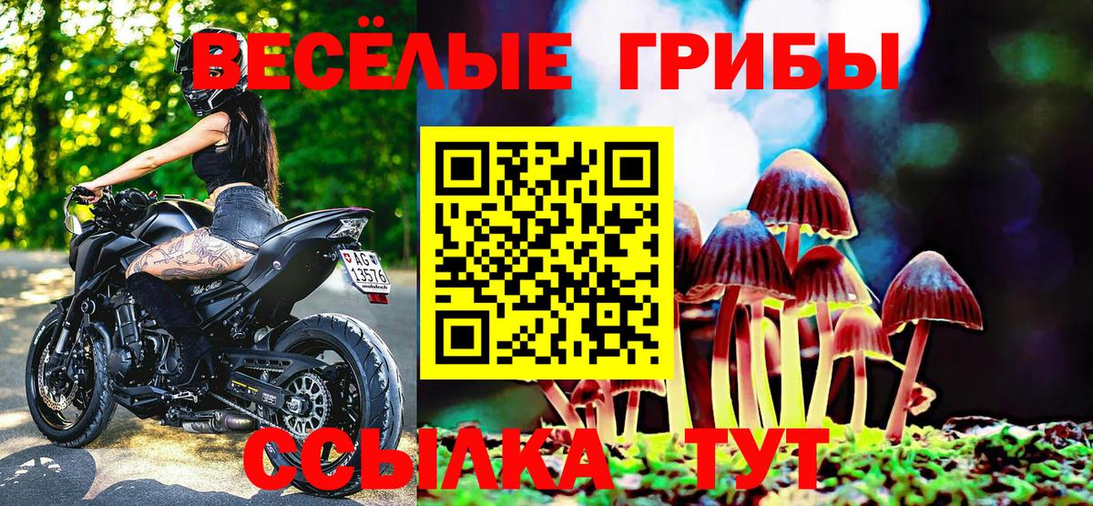 Бердск  Псилоцибиновые грибы Psilocybine cubensis  Вход с VPN 